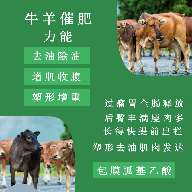 包膜胍基乙酸 肉牛育肥期催肥饲料 天宝力能牛泰壮 牛羊饲料 - 爱企查
